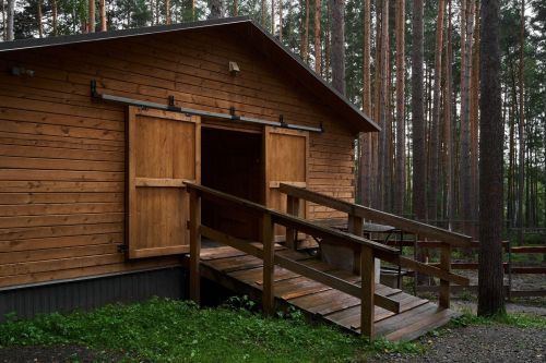Конные прогулки